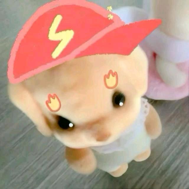 澳洲钓鱼佬🎣