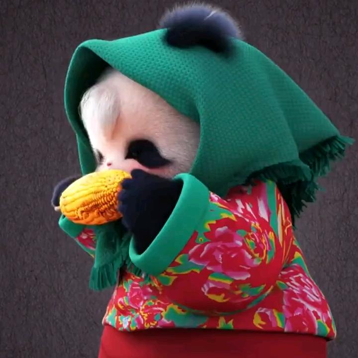 ༗࿆ཉི🥀杨ල᭄࿐