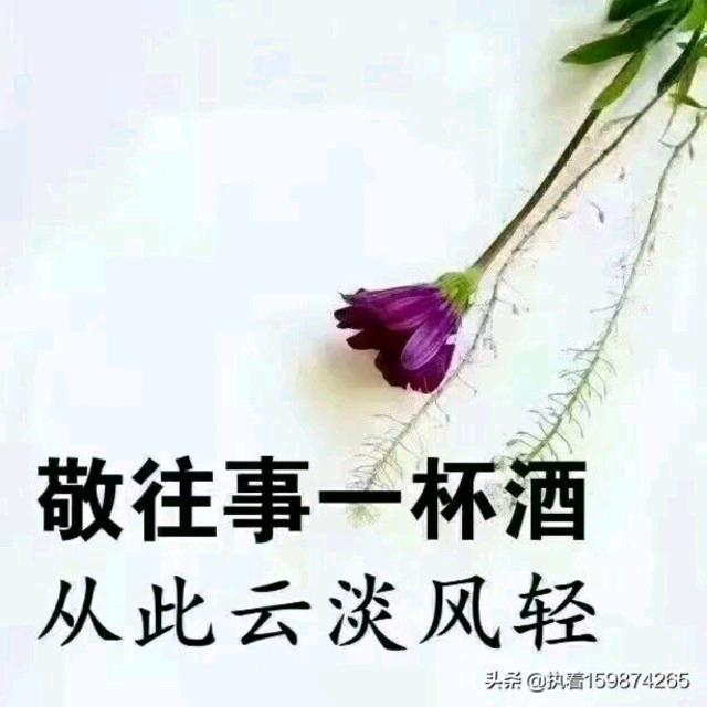 🌺🎵封心锁爱💘🎼