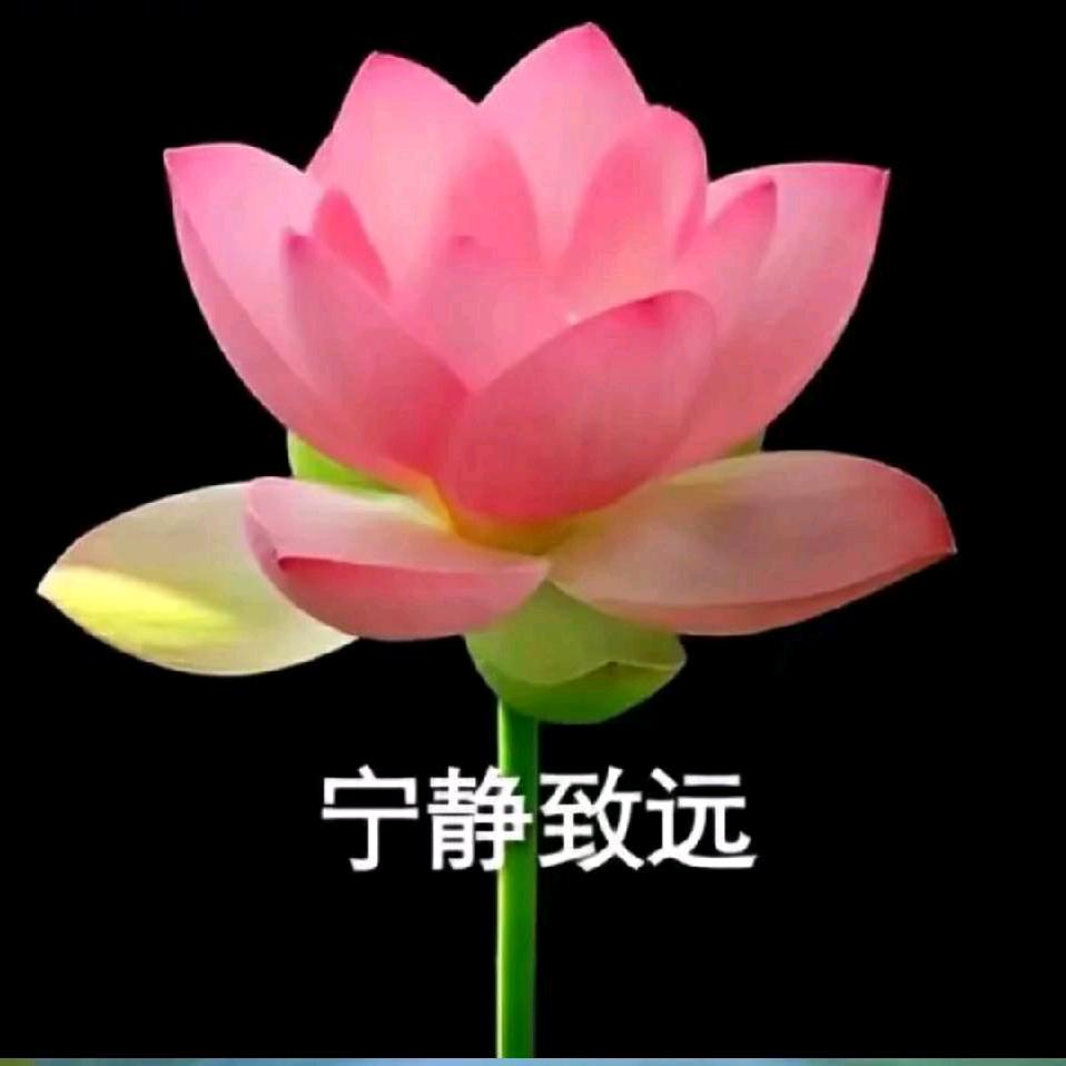 天天快乐：