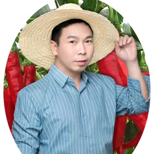 fuyi阜意辣椒丝