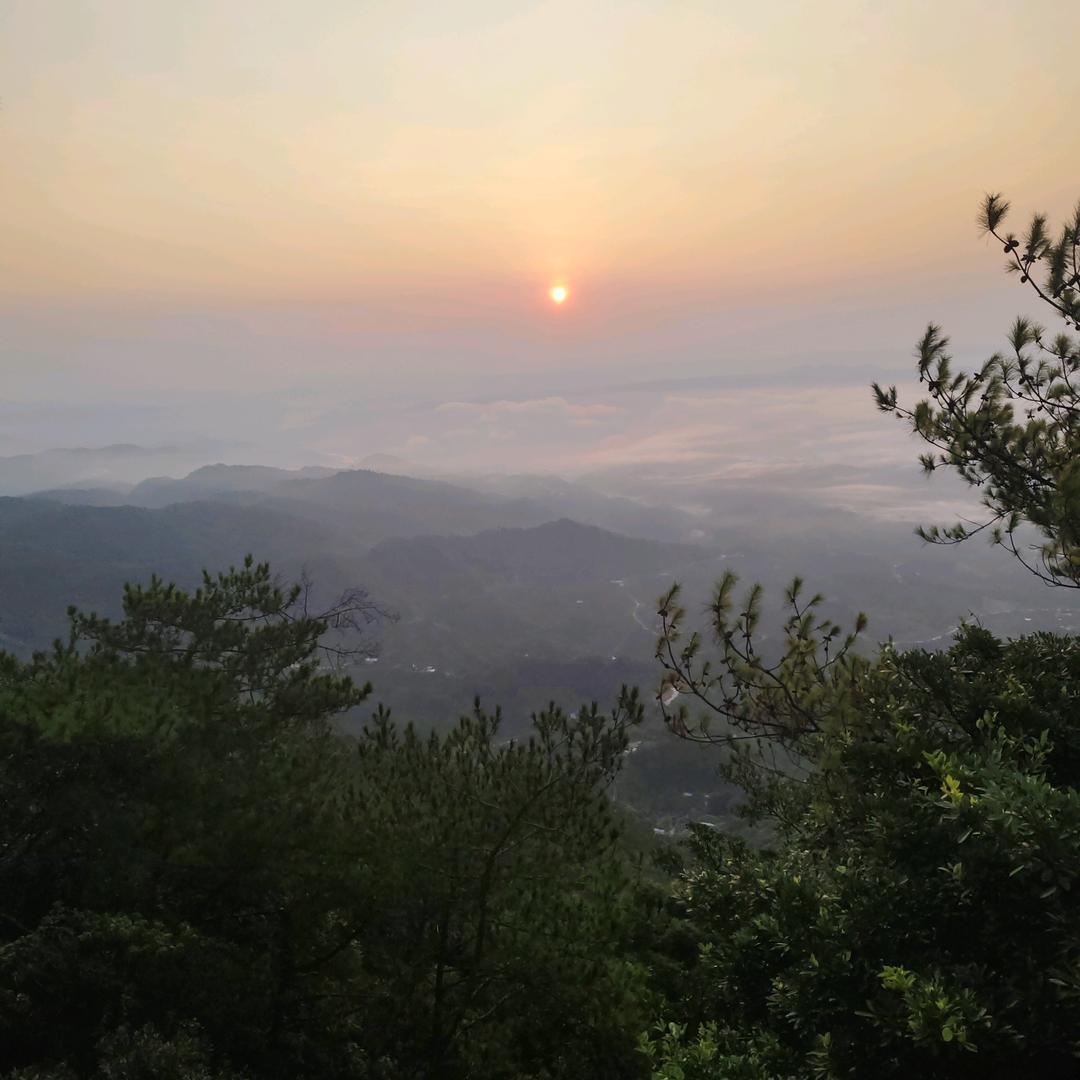 醉梦难醒