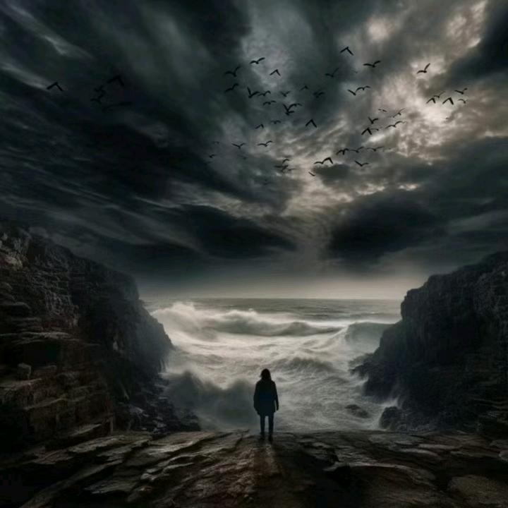 ༄༊࿆ 鲸落亽 ࿐