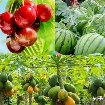 用户相见是缘分