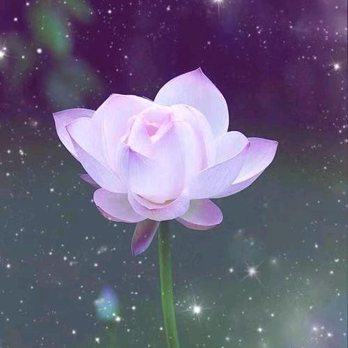 💫微风细雨❤️