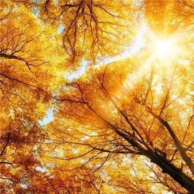 人民永远在党之上