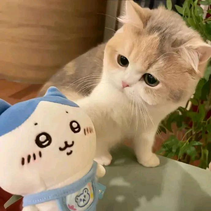 の别来沾边