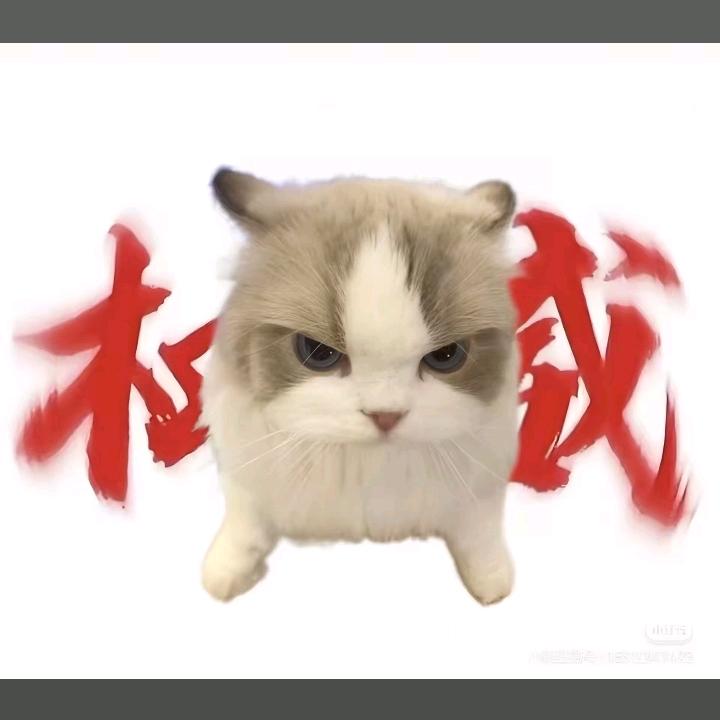不是儿