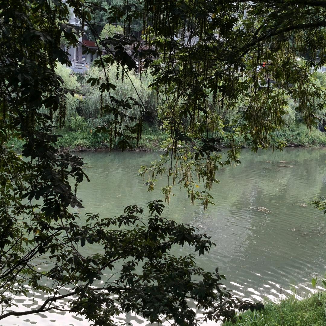 乡村