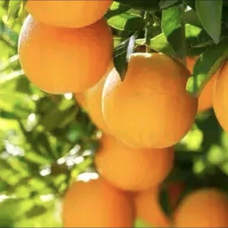 一个富贵的小朋友