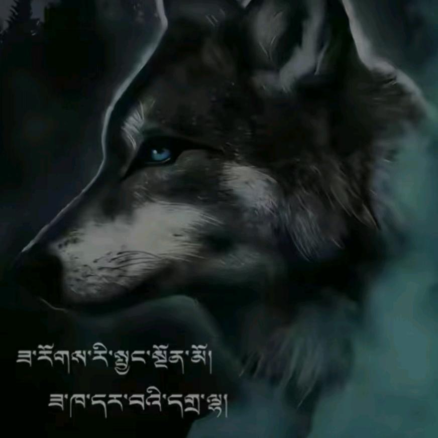 ༺༃西༒哥༃༻