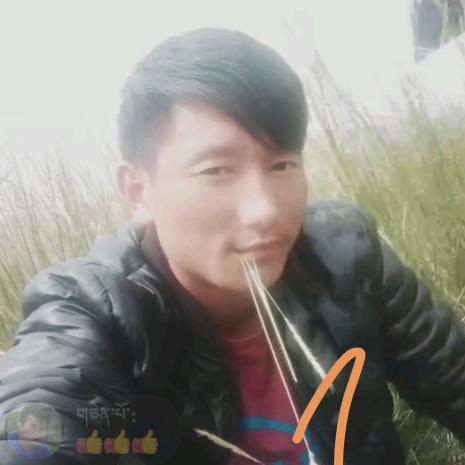 安稳先生