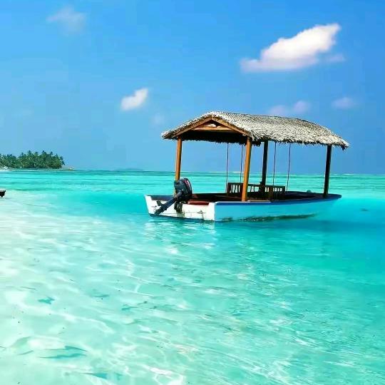 船员培训徐老师