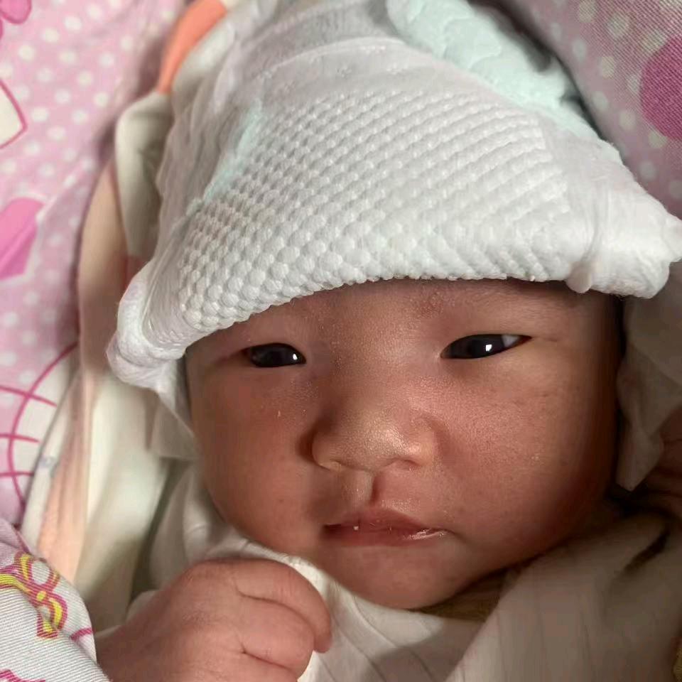 春暖花开