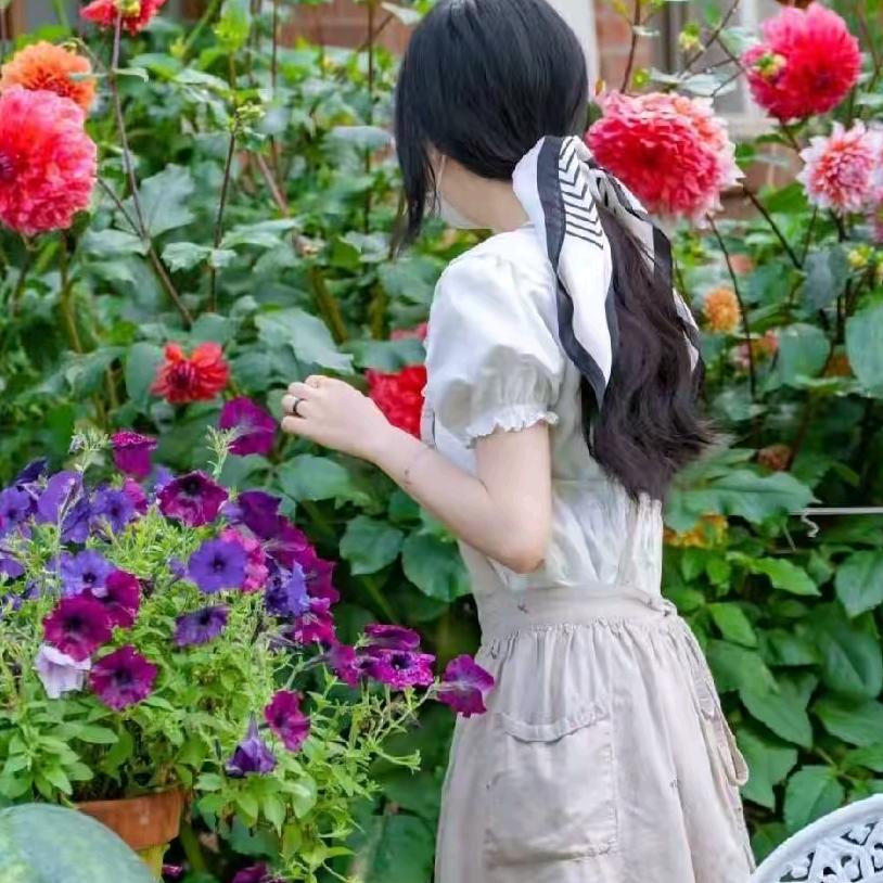 牛奶妹爱种植