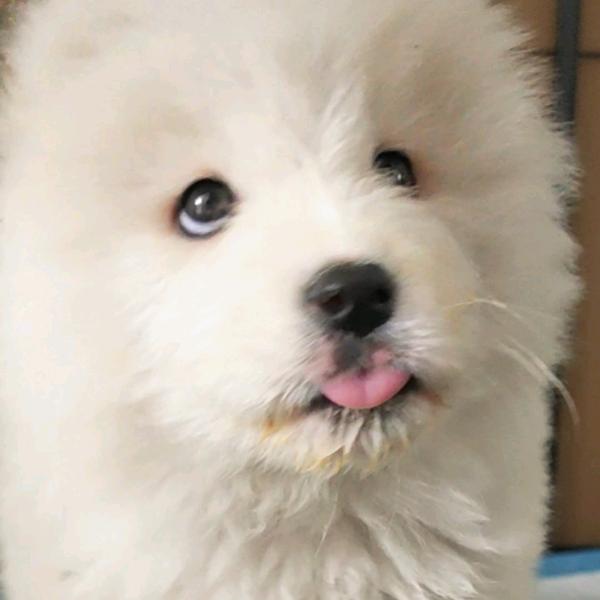 艾特小北