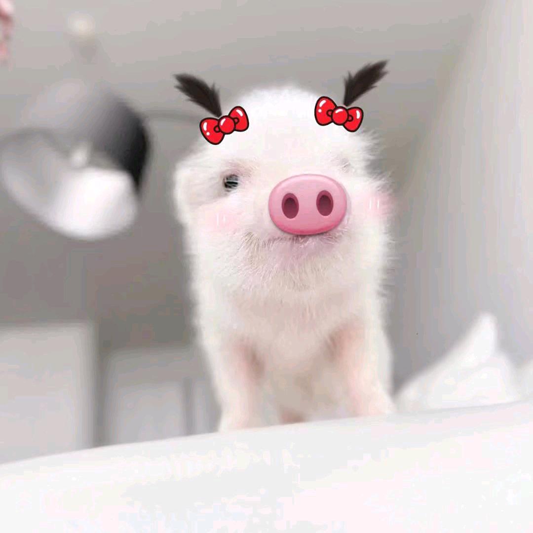 相片纸