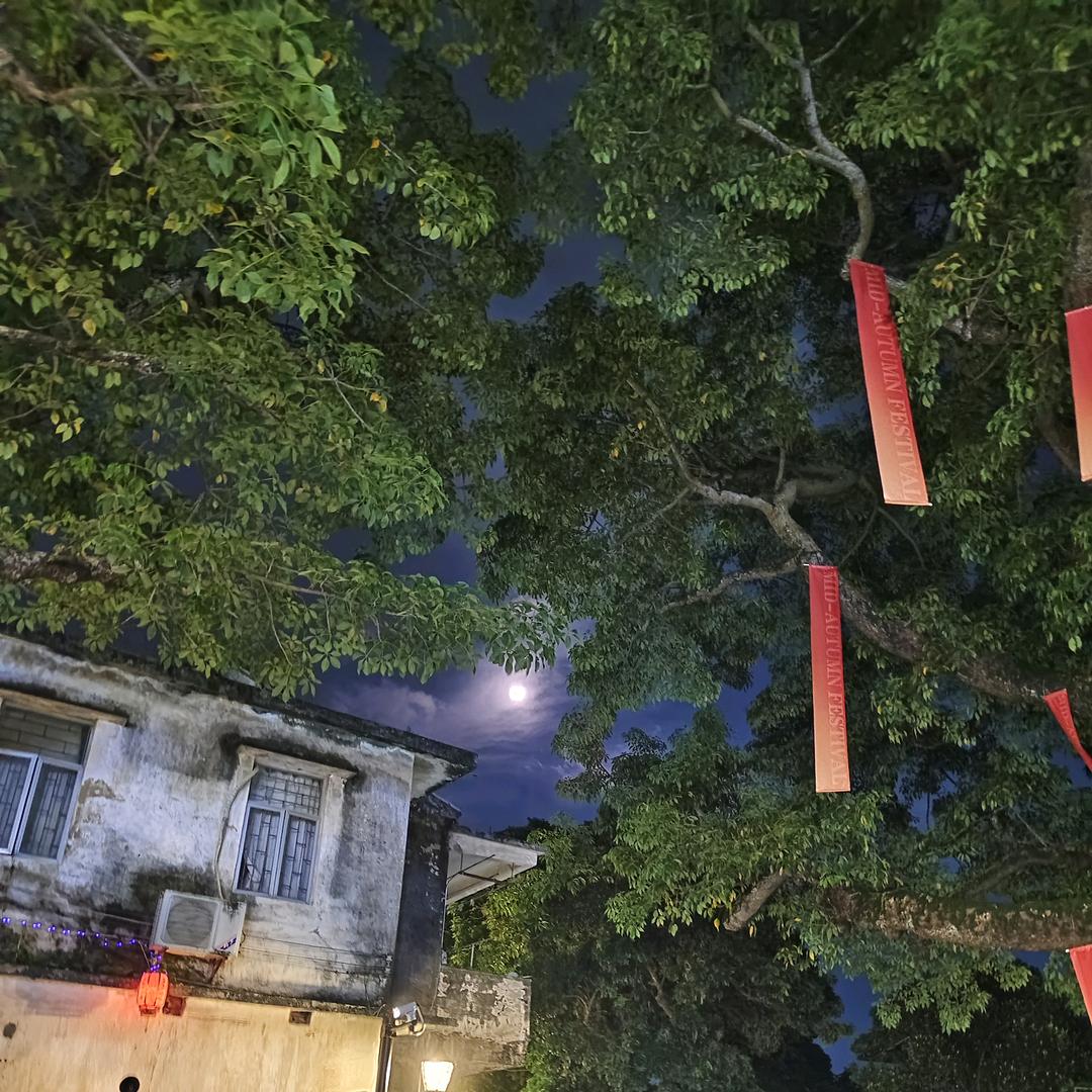 吃蛋炒饭的路人