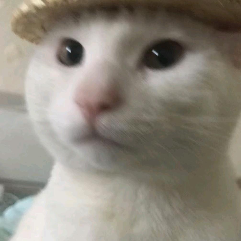 缘合圆