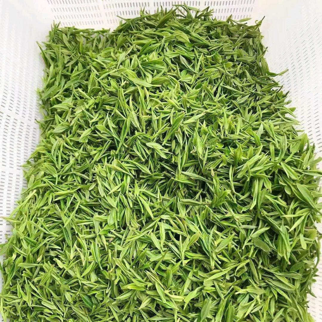 爱上了茶的苦涩