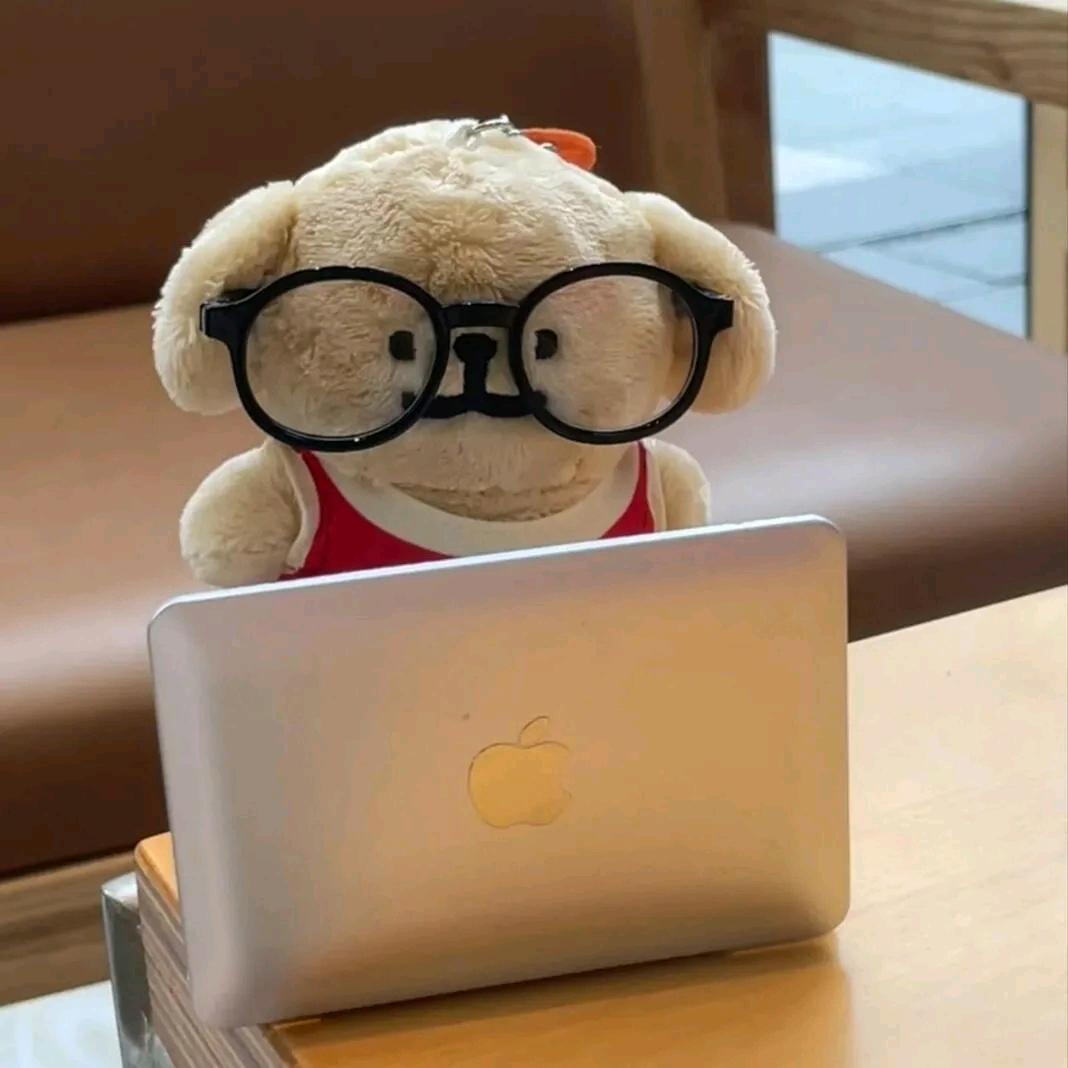 LPの一份情书💌