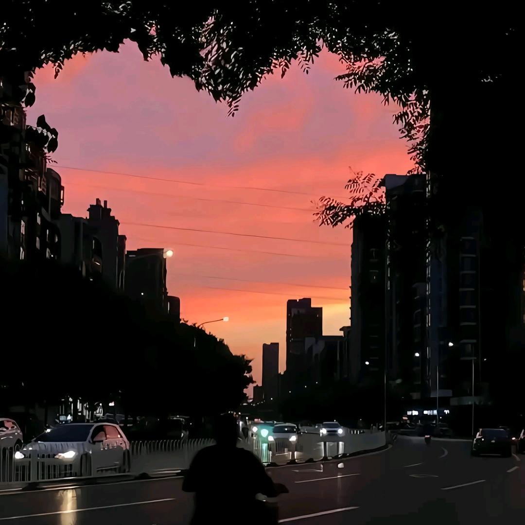 呆木木（三角洲快退游中）