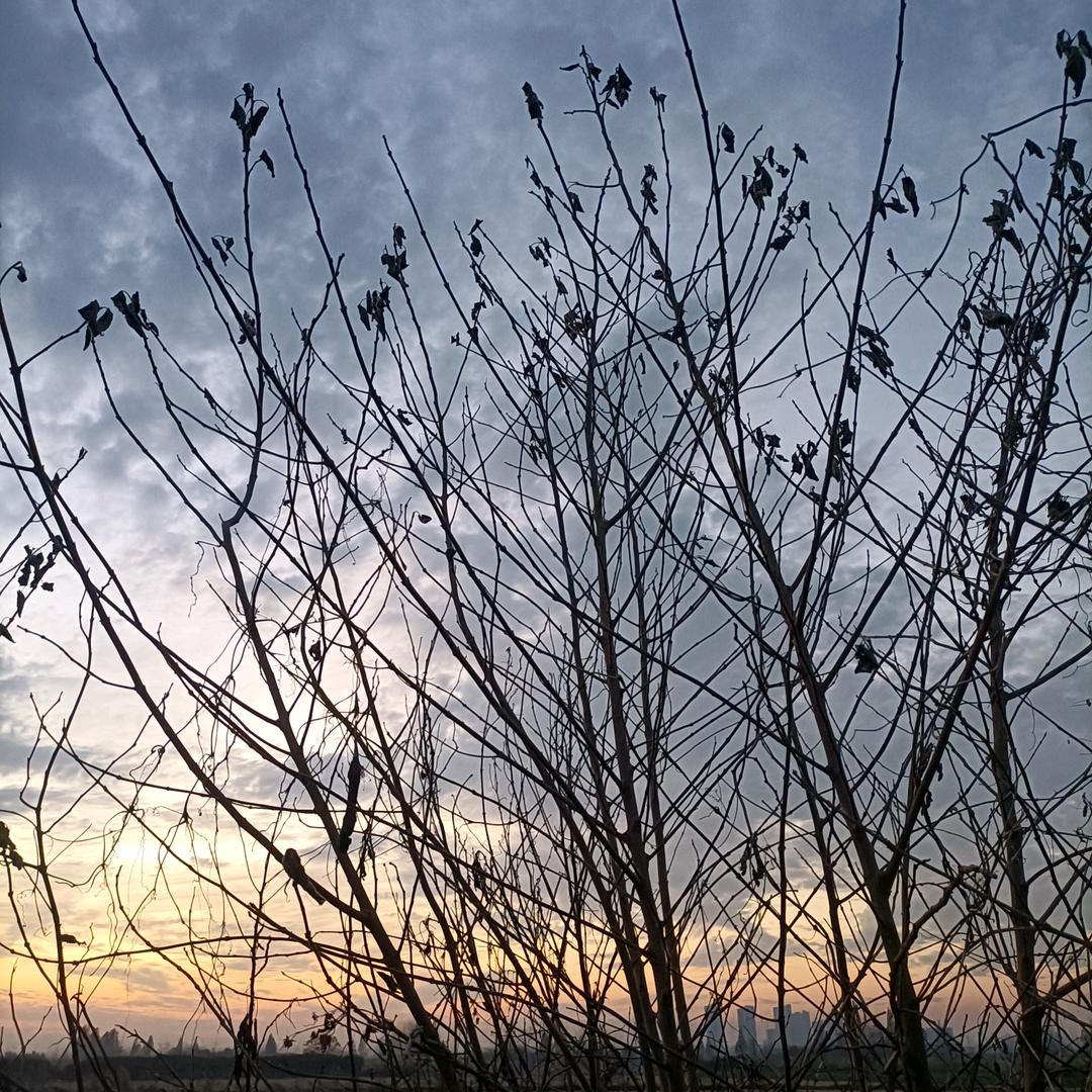让暴风雨来得更猛烈些吧