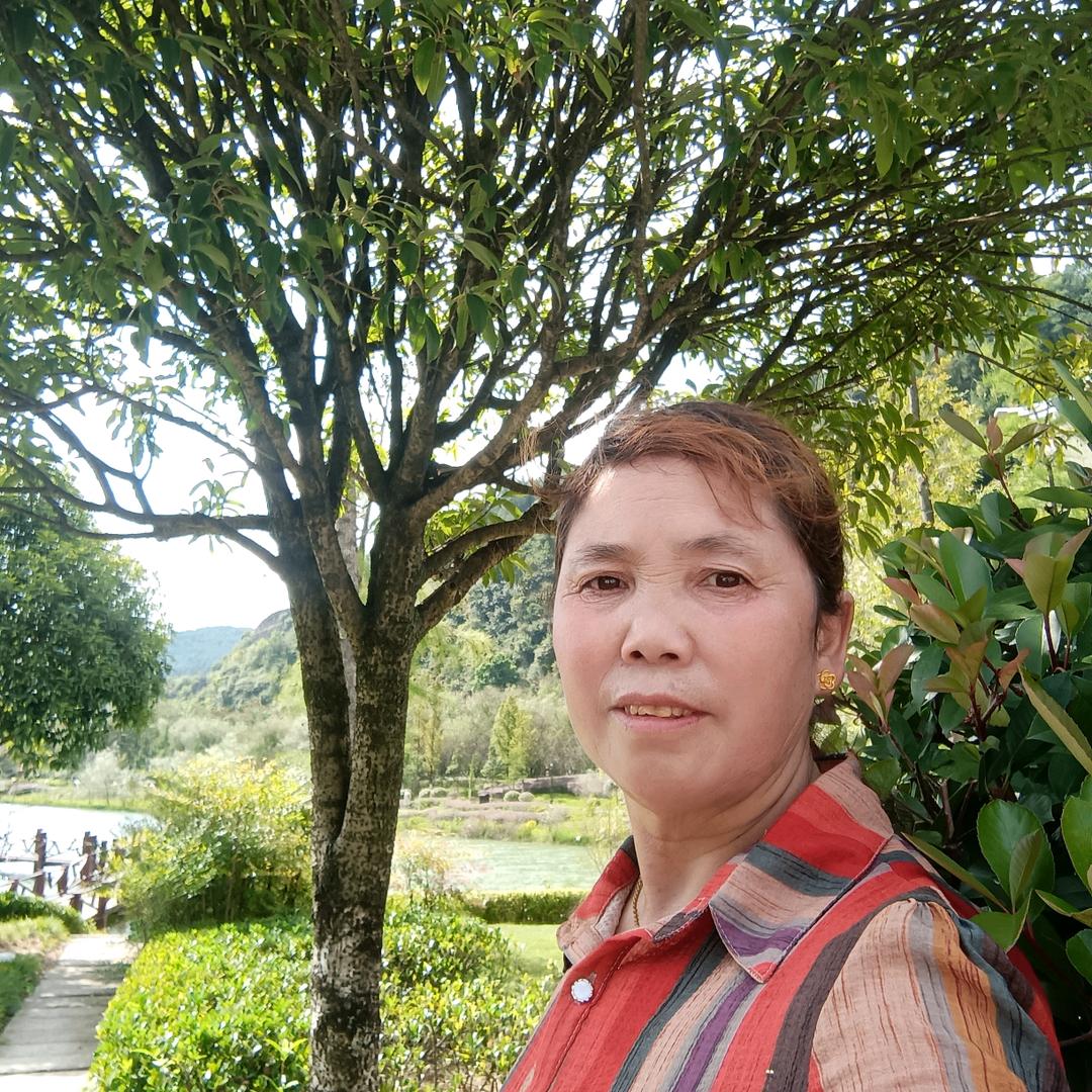 刘姐