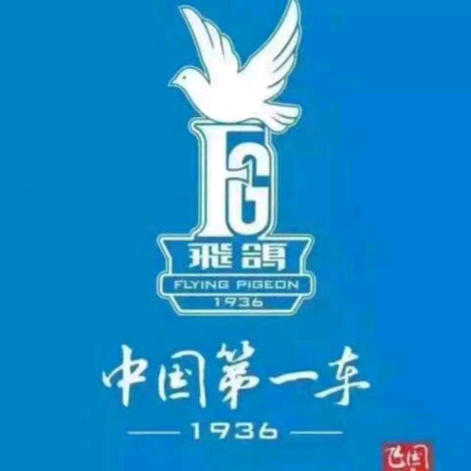 天津南开区三马路47号中国飞鸽形象店