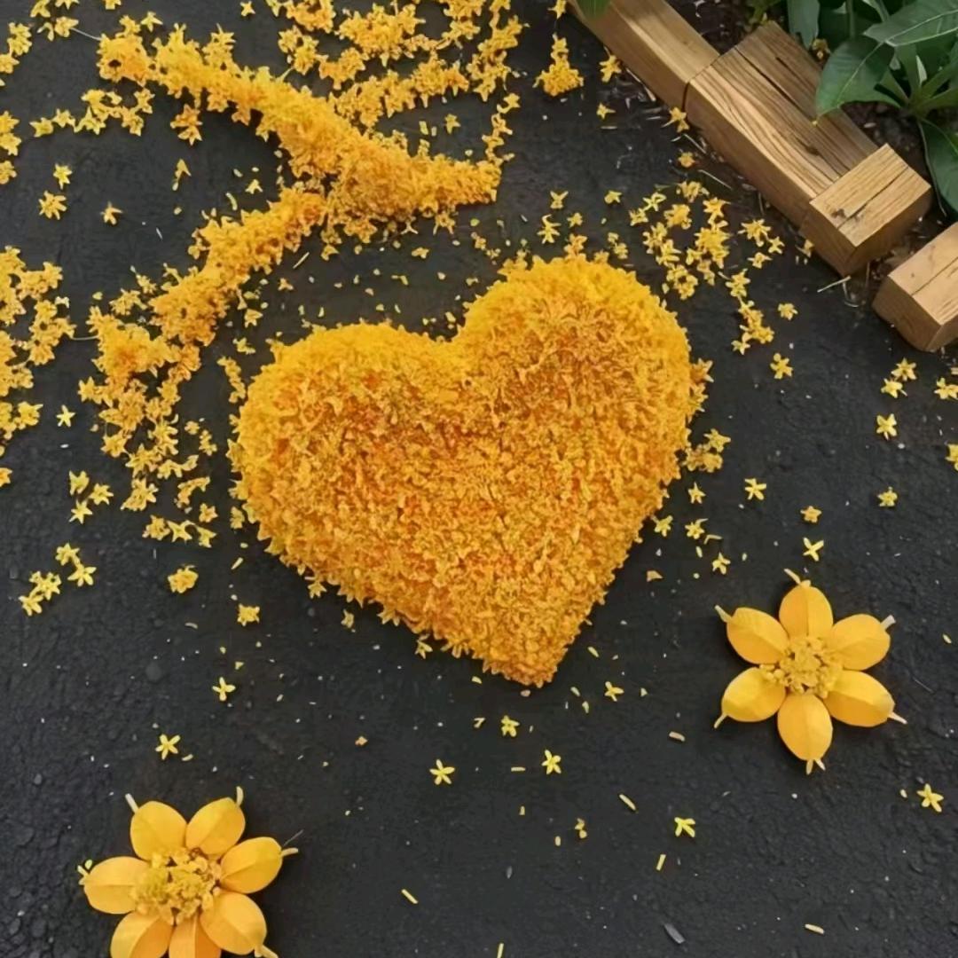 米娜 好物