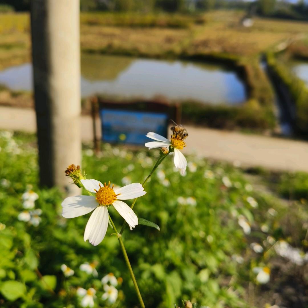 什么都喜欢一点（好物在橱窗）