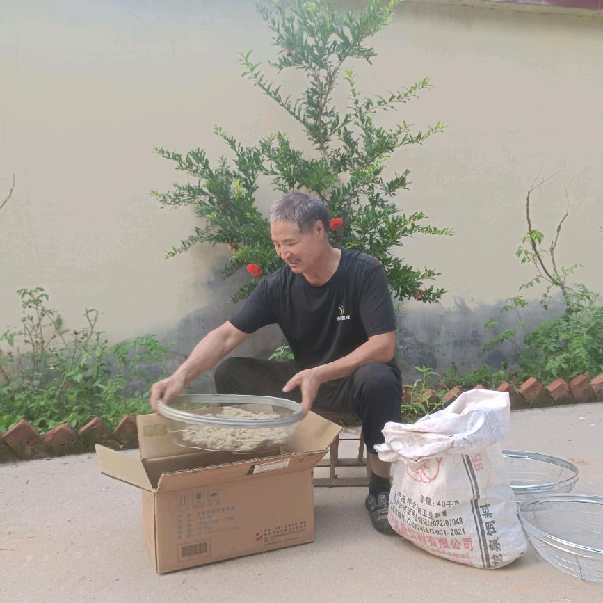 睡谷野生艾叶制品