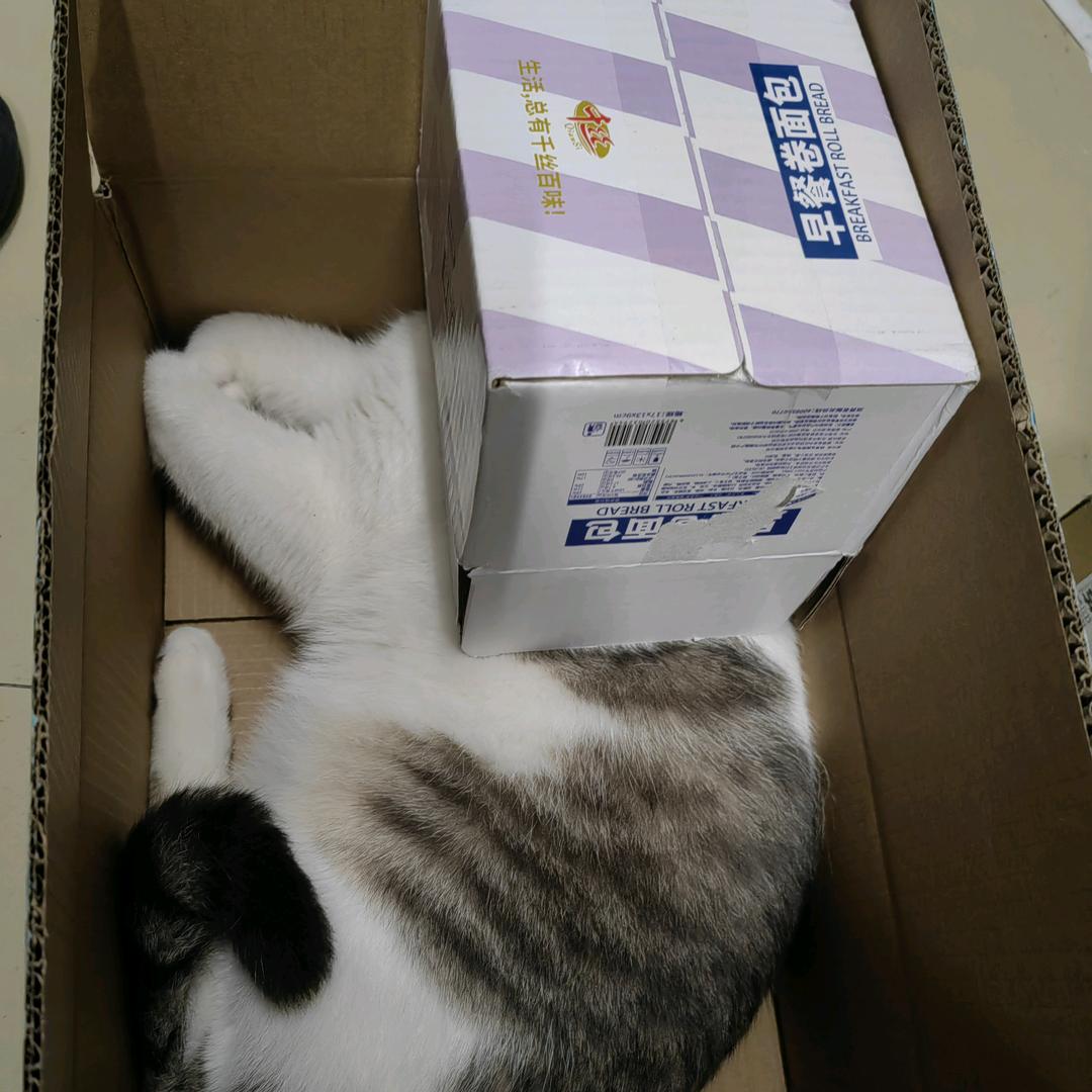 舍友用屁股拧开矿泉水因为我昨晚戴的是螺纹