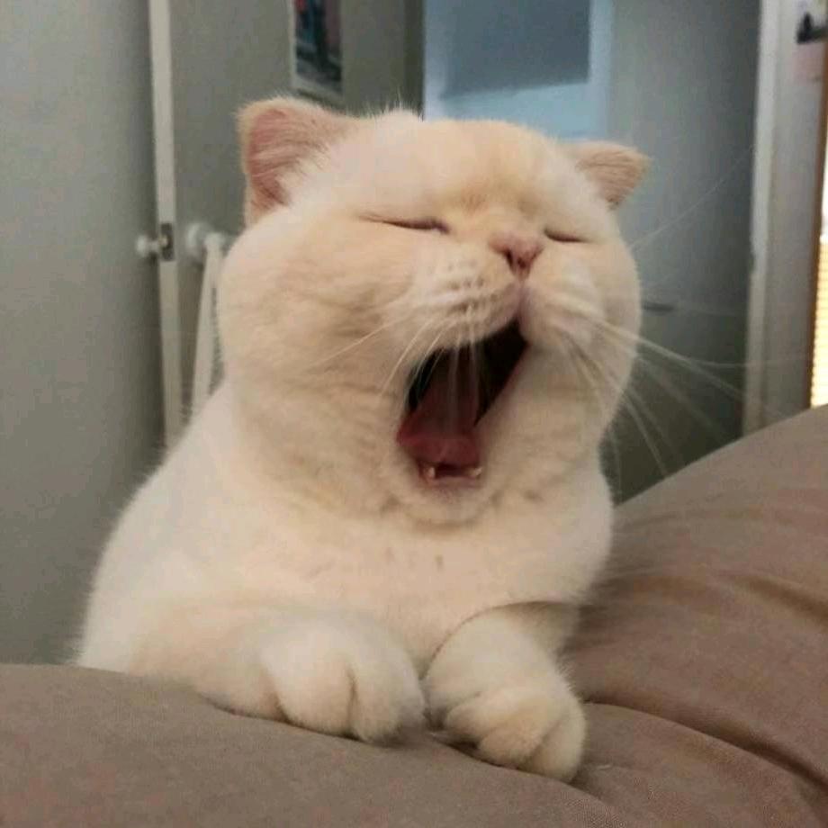听～风语～