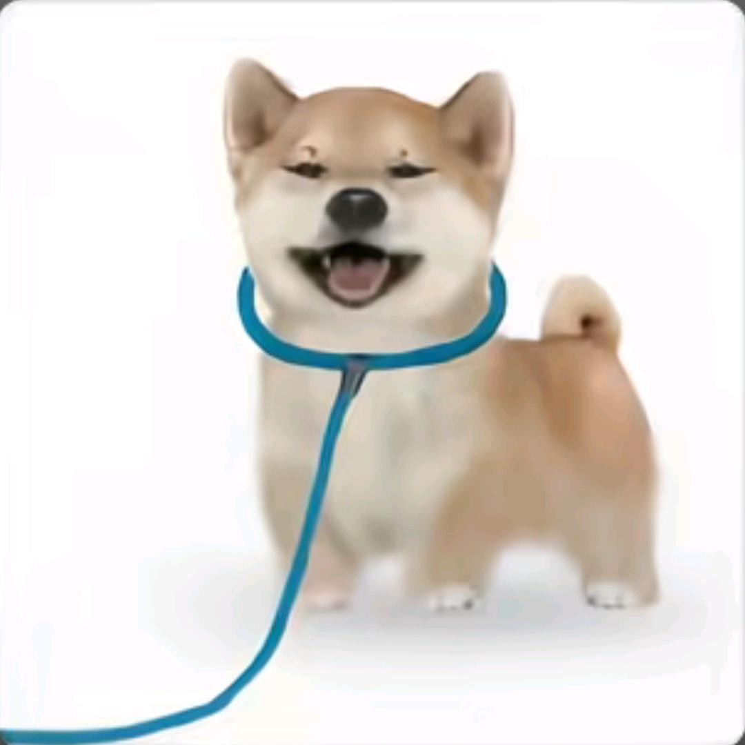 好想睡觉