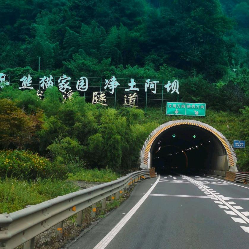🔥真真正正🔥