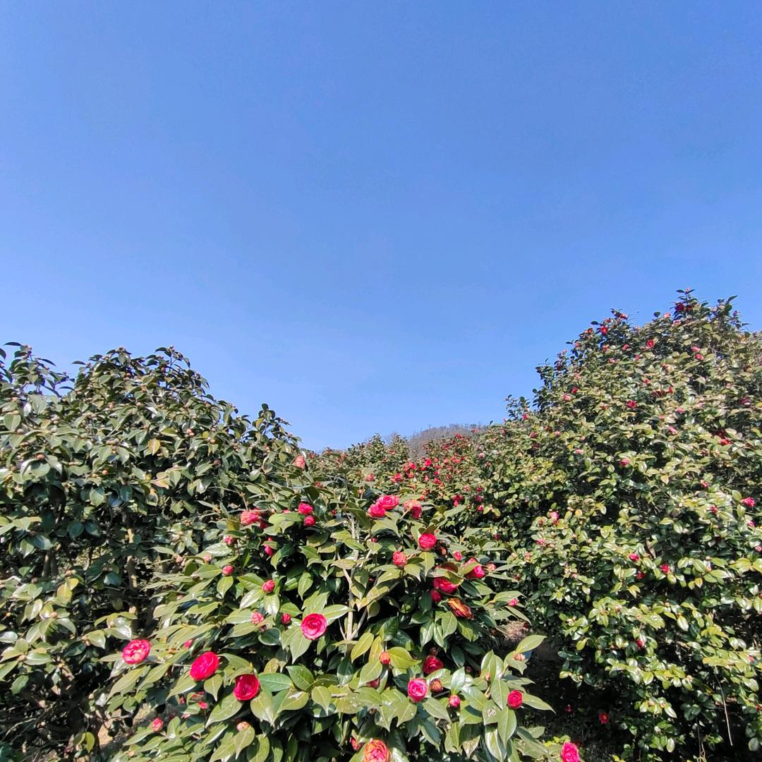 闲☁️