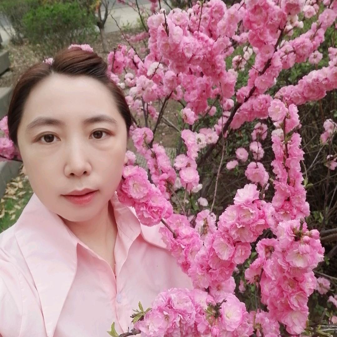 雨后彩虹海燕