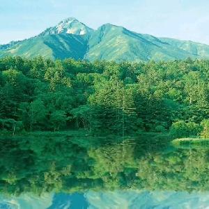 苍南思居窗帘