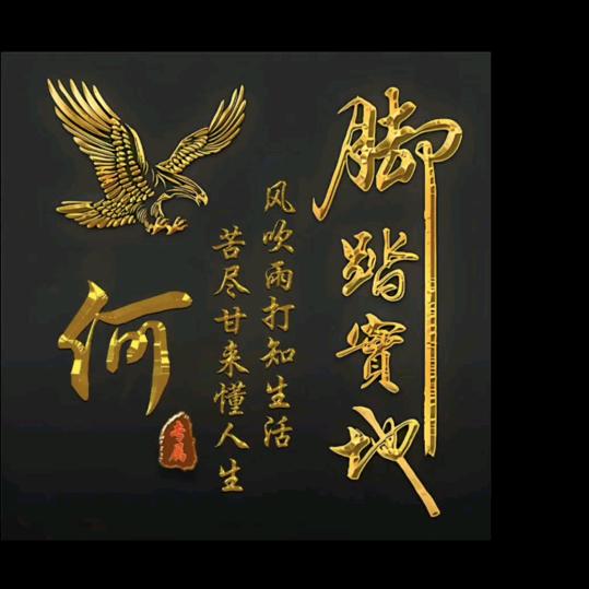何家大哥