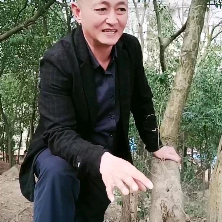 文小二