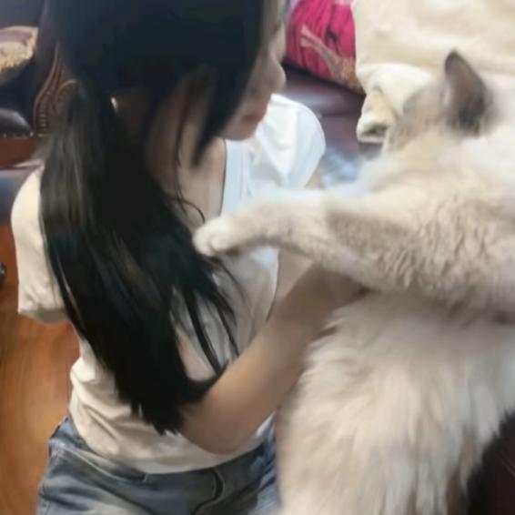 好好。