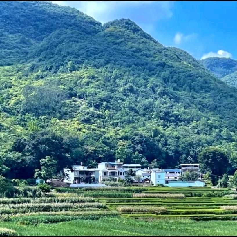 ღ᭄💞田下ོএ有心ღ᭄