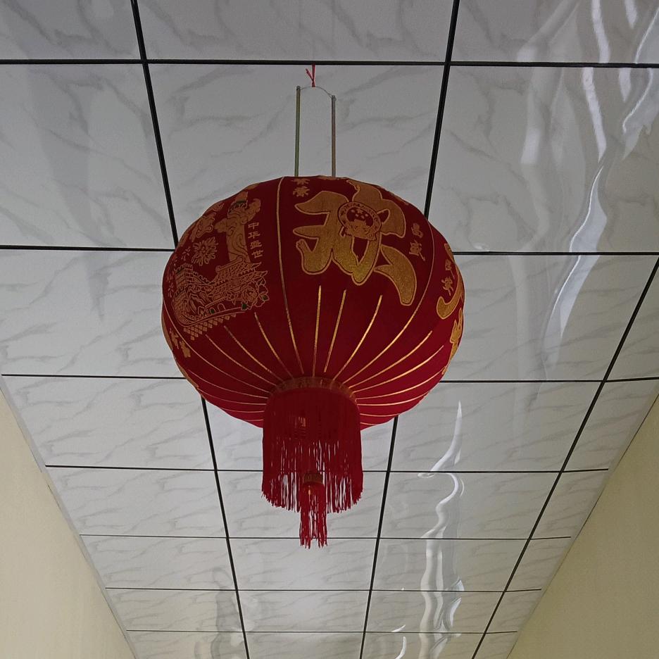 傲视群雄