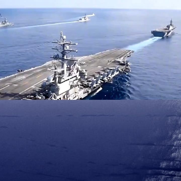 熊猫速探