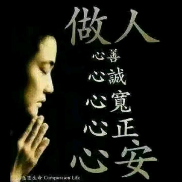 毛毛虫🐛