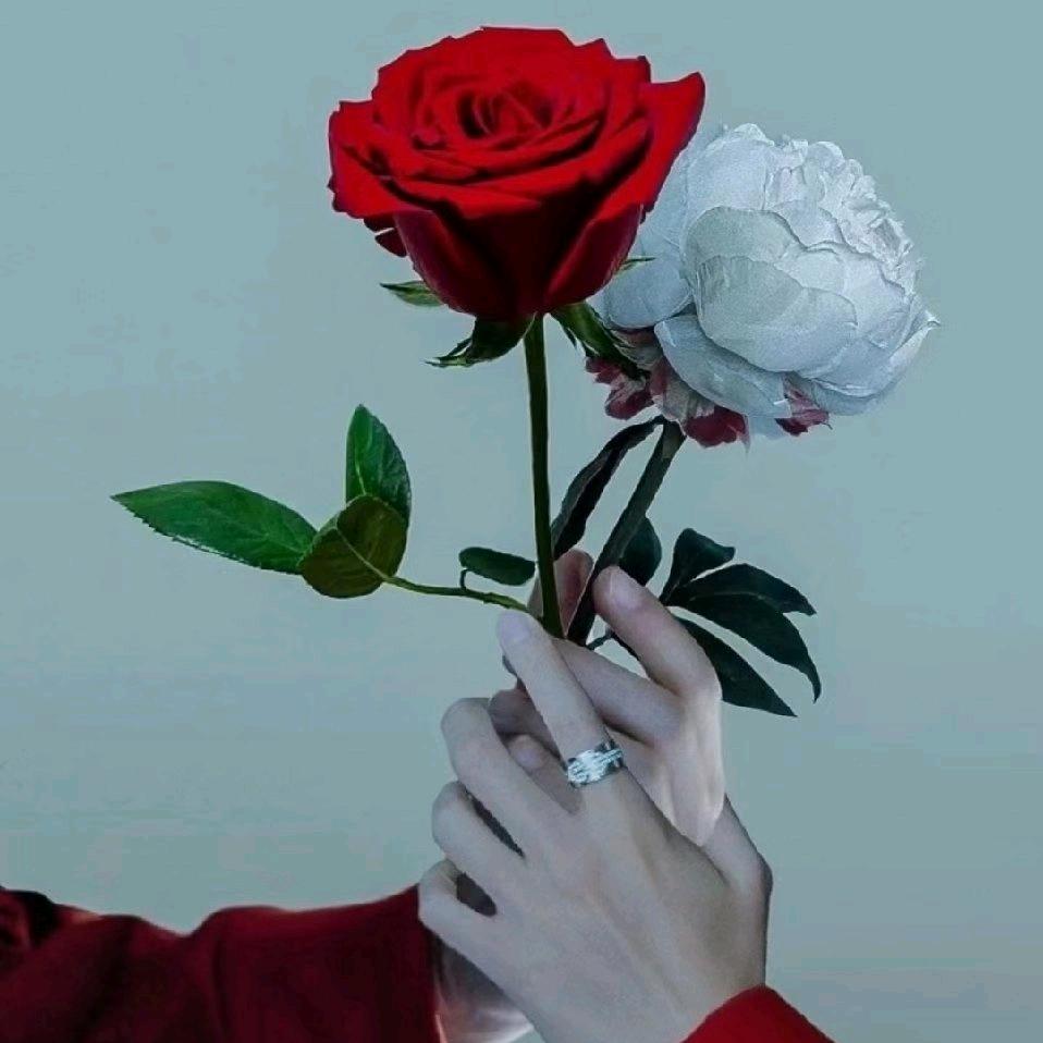 珠围翠翠♡.