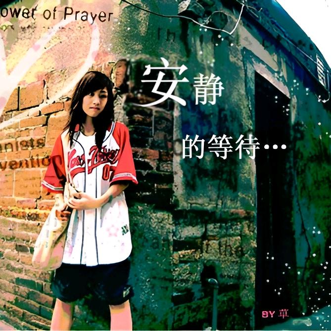 龙哥