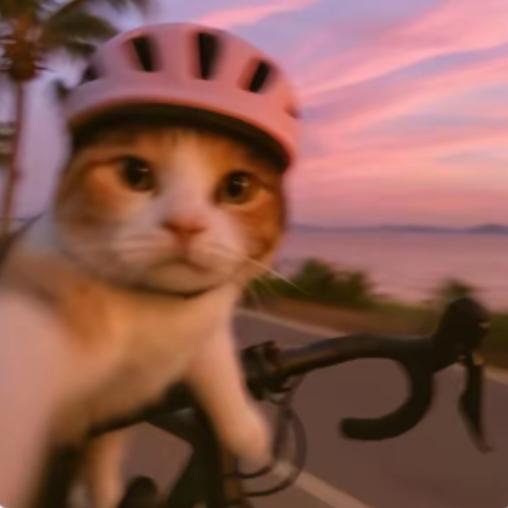 游不动的庄🚴‍♀️