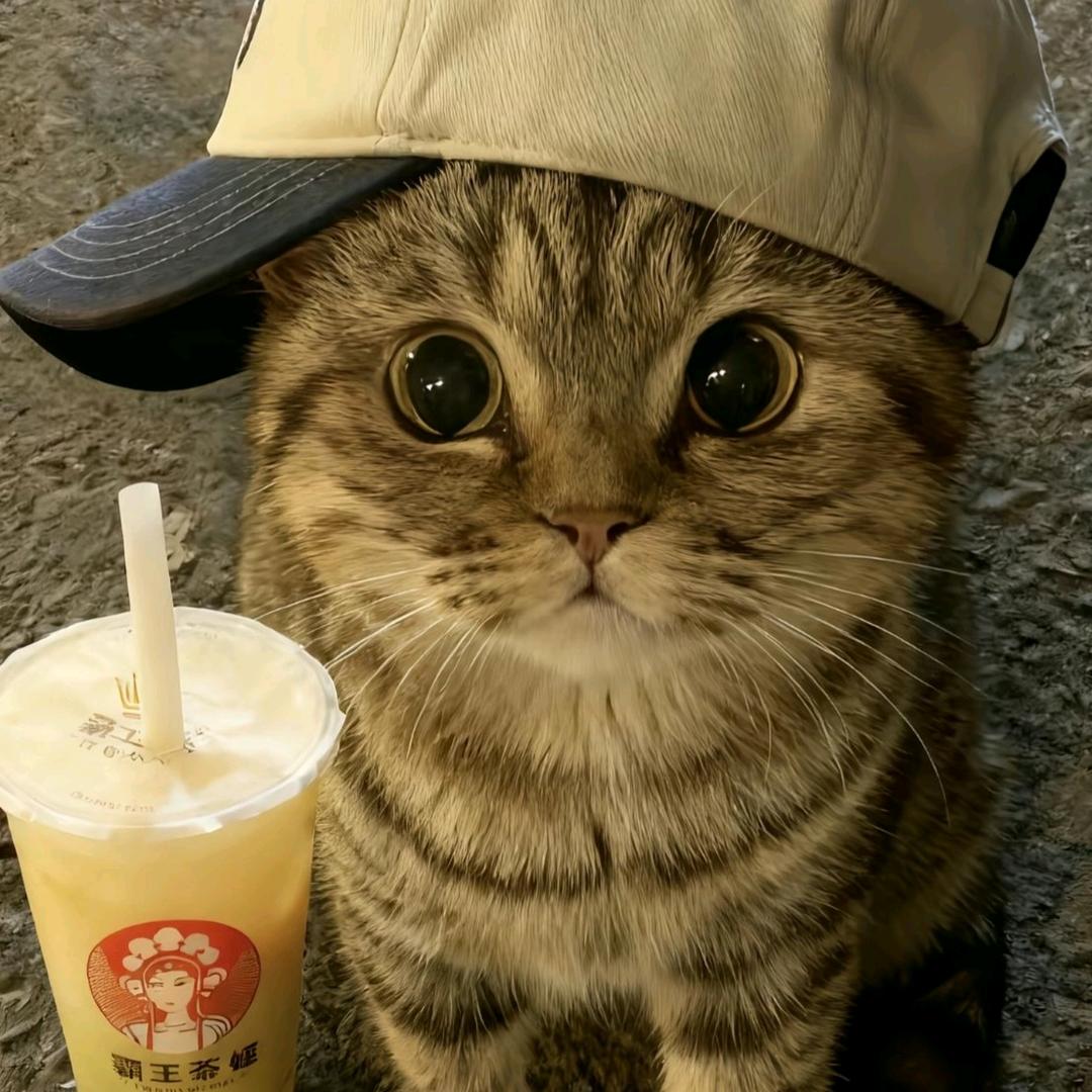 正儿八经大学生